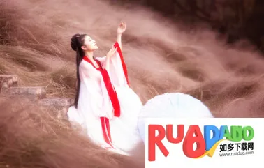 ��������2026���°汾