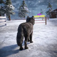 ��ģ���� 3D2026���°汾v1.0.6 ��Ѱ�