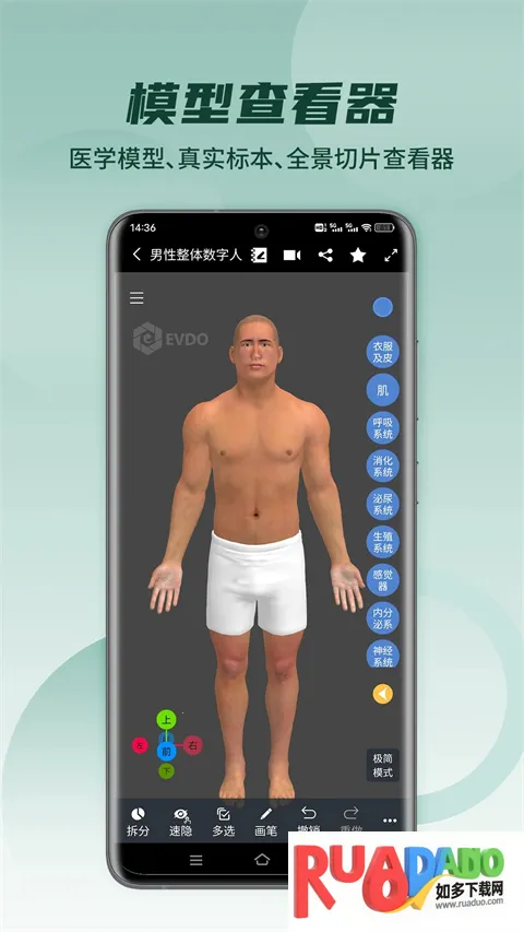 ҽά���������2026���°汾
