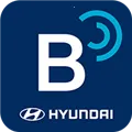 Bluelink(������������)v5.03 �ٷ���