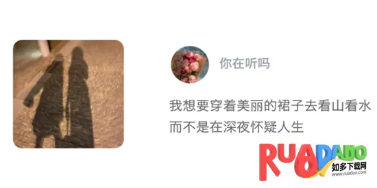 �����罻2026���°汾