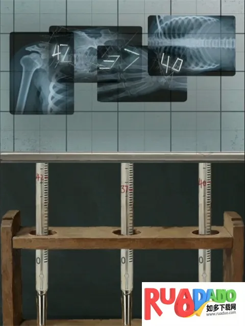 ����2026���°汾