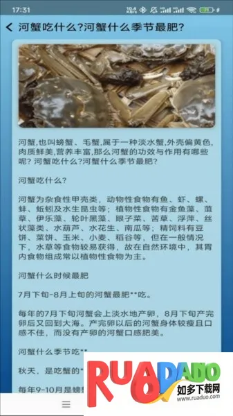 �����ֳ��׿���ֻ���