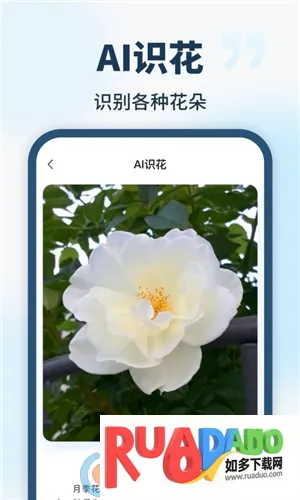 AI��������(�๦��AI����)