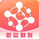 微芯群发2026官方最新版本
